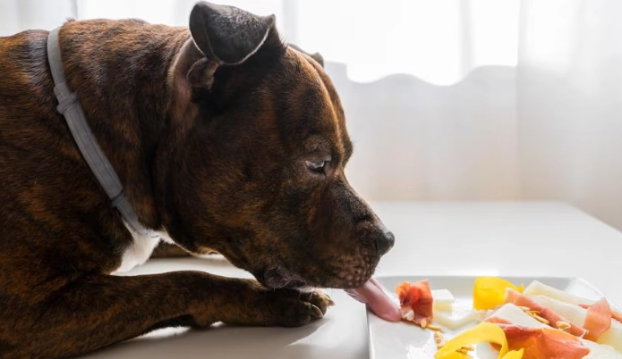 feeding pork to dogs