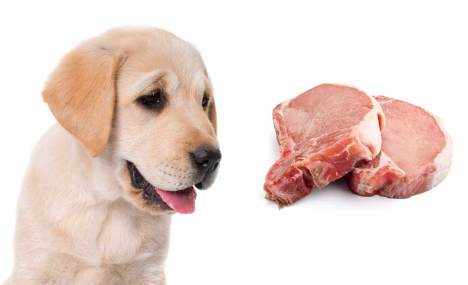 is pork safe for dogs