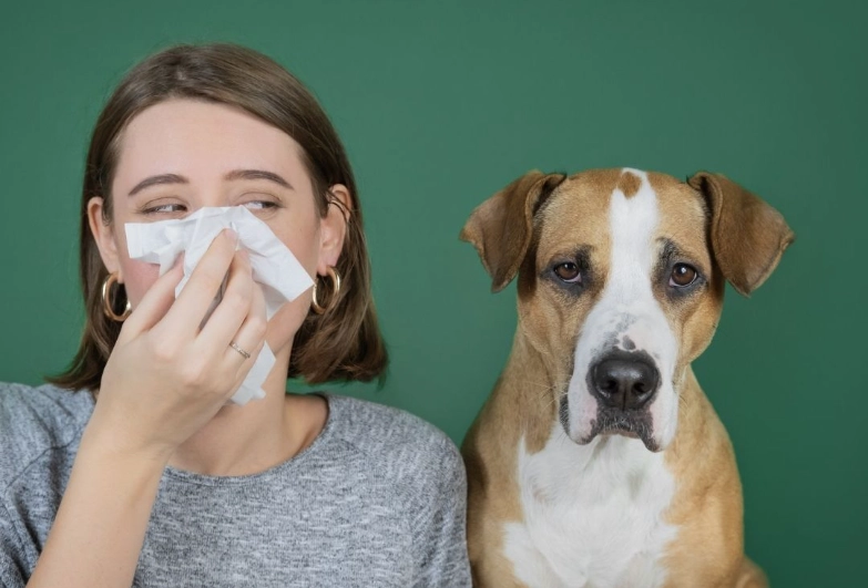 dog coughing causes