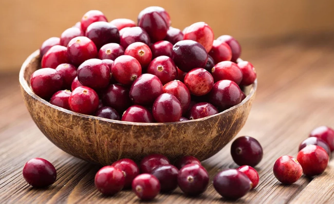 can dogs eat cranberries