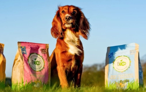 best grain free dog food