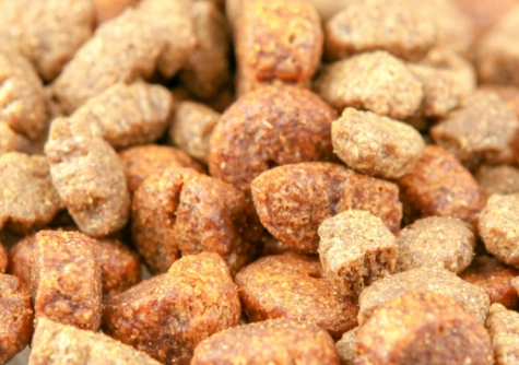 grain free dog food for allergies