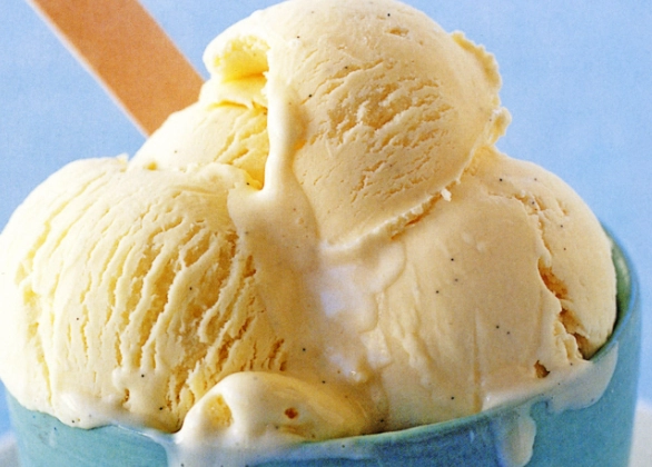 is vanilla ice cream bad for dogs