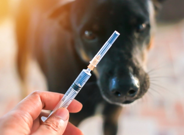 dhpp vaccine schedule dhpp vaccine schedule