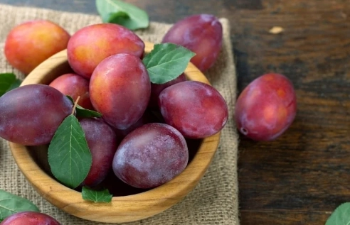 plum poisoning in dogs