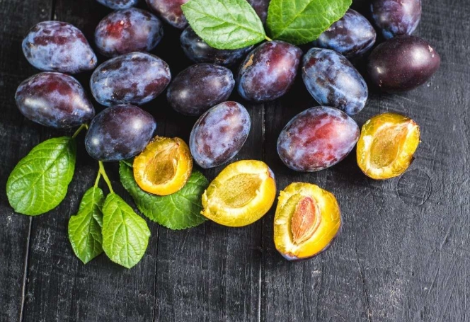 plum poisoning in dogs