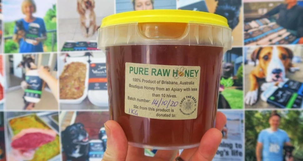 how to give honey to dogs