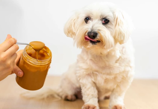 xylitol in peanut butter