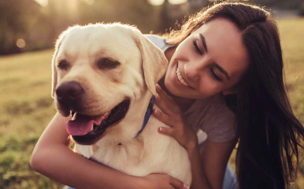 hot dog cooking time hot dog cooking time