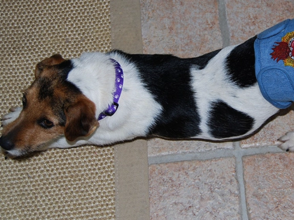 how long to heat hot dogs how long to heat hot dogs