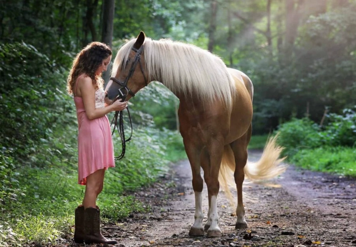 horse weight average