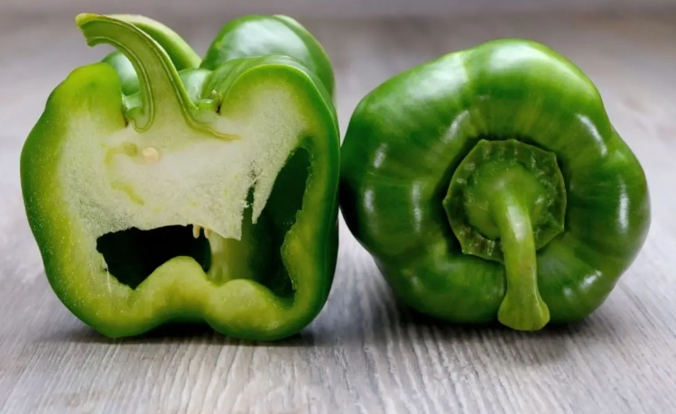 dogs eat bell peppers