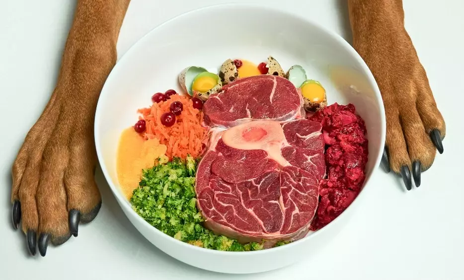 feeding dogs raw food feeding dogs raw food