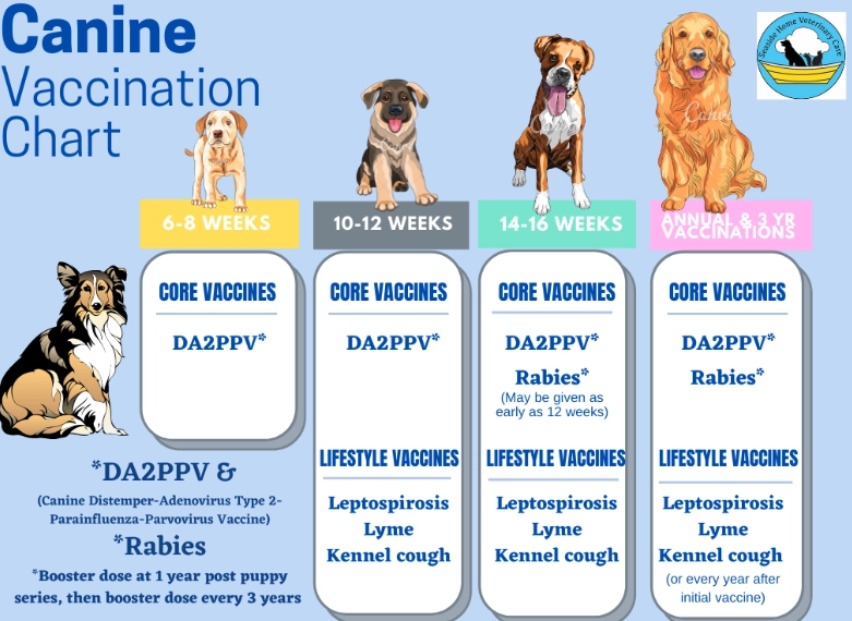 puppy vaccine schedule