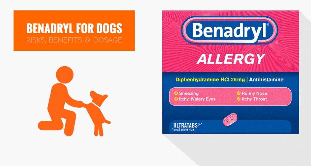 benadryl for dogs allergies