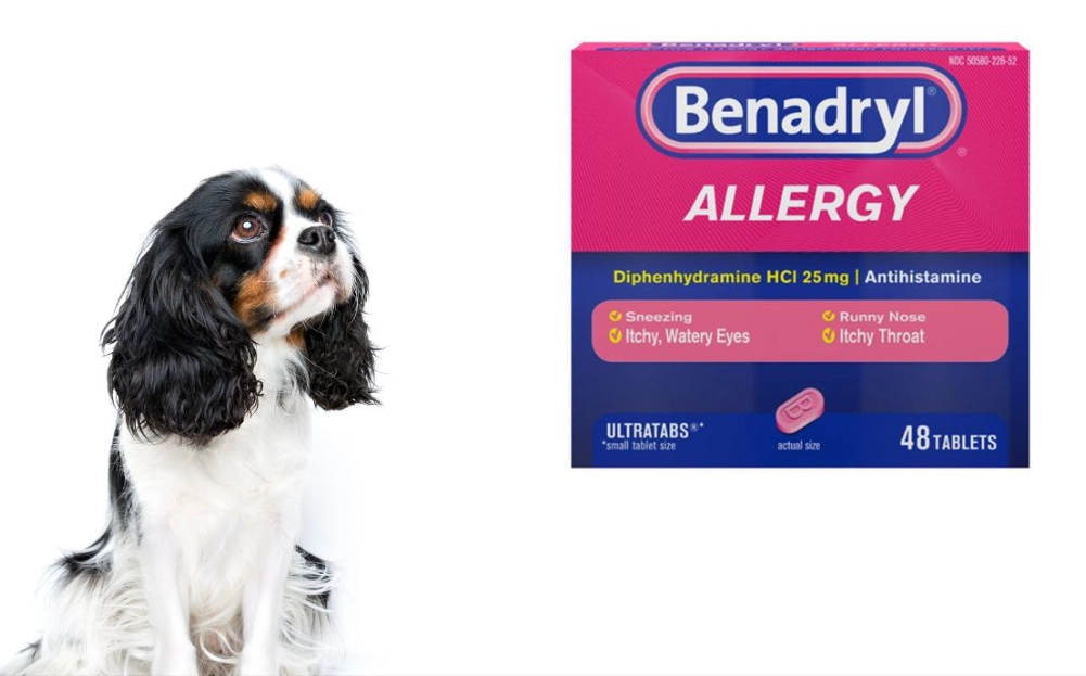 can i give my dog benadryl