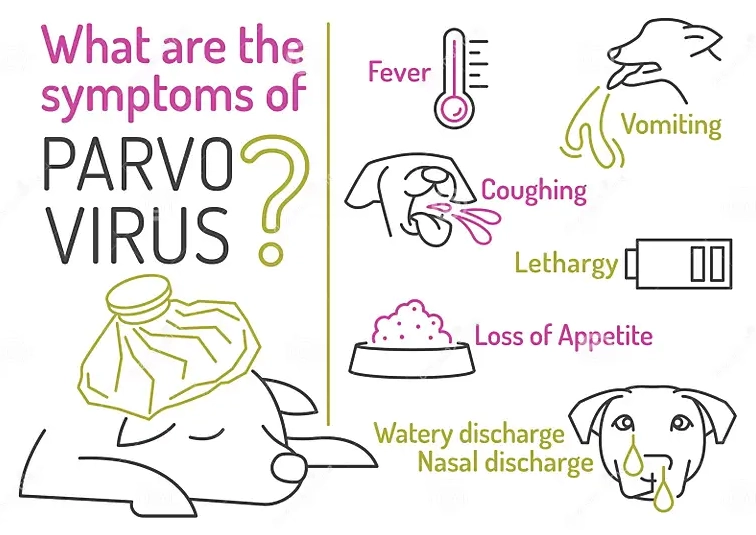 parvo vaccine schedule