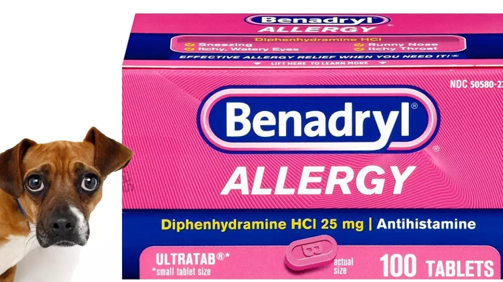 how much benadryl can i give my dog