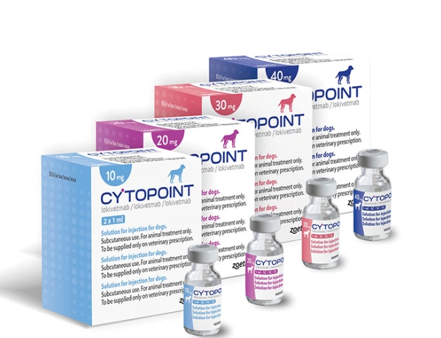 canine atopic dermatitis treatment canine atopic dermatitis treatment