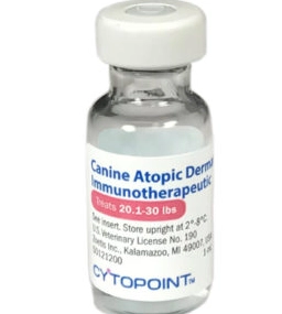 dog allergy shot dog allergy shot