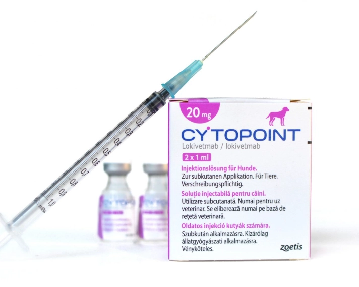 canine atopic dermatitis treatment canine atopic dermatitis treatment