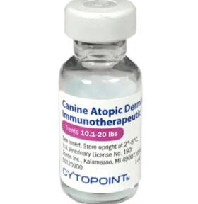 canine atopic dermatitis treatment canine atopic dermatitis treatment