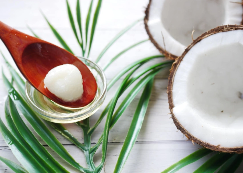 how to give coconut oil to dogs how to give coconut oil to dogs