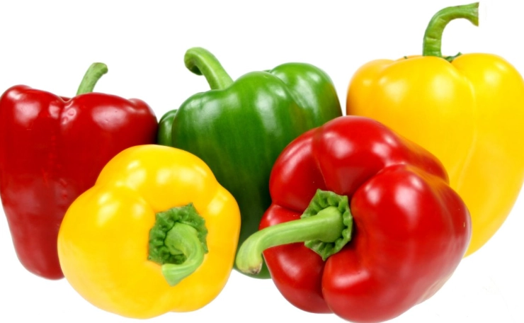 are bell peppers safe for dogs