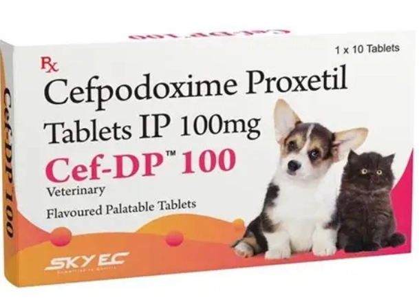 cefpodoxime proxetil for dogs
