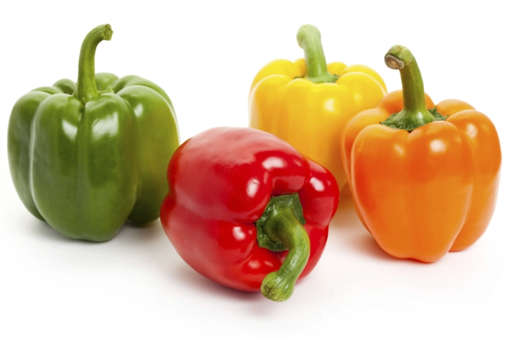 feeding bell peppers to dogs