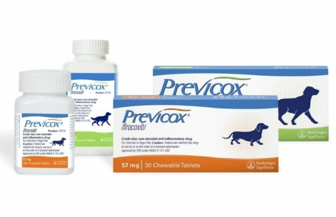 dog pain relief dog pain relief