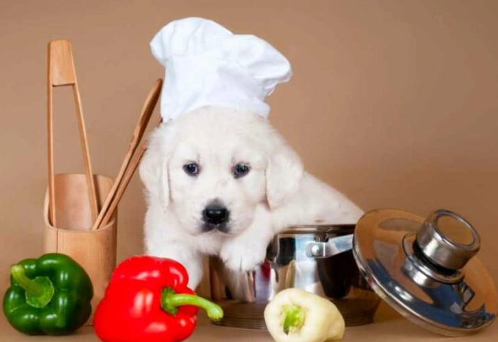 feeding bell peppers to dogs