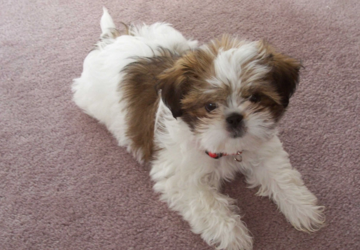 Seven Military Classics