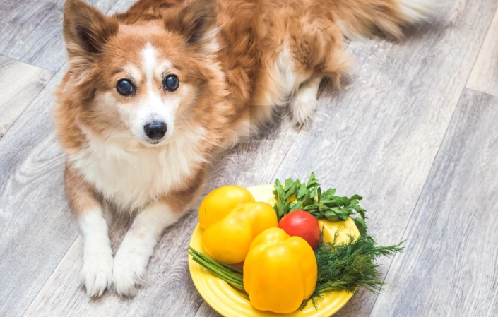 are bell peppers safe for dogs