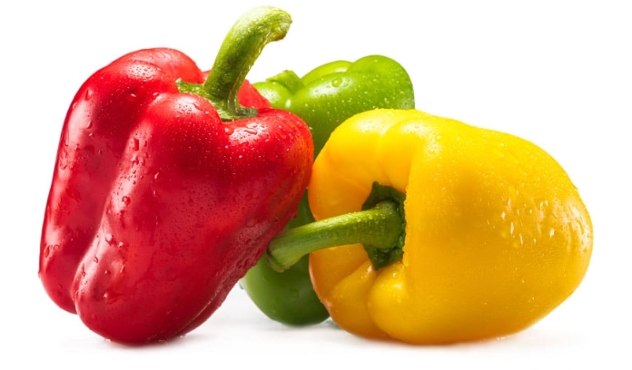 feeding bell peppers to dogs