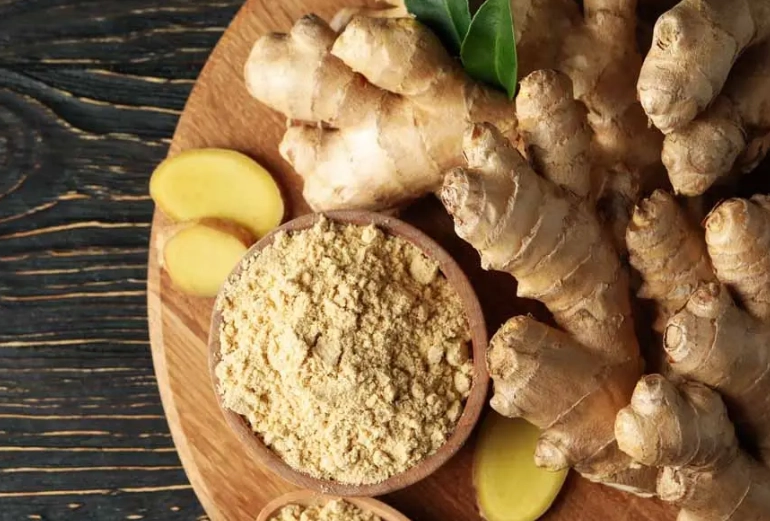 ginger for dogs ginger for dogs