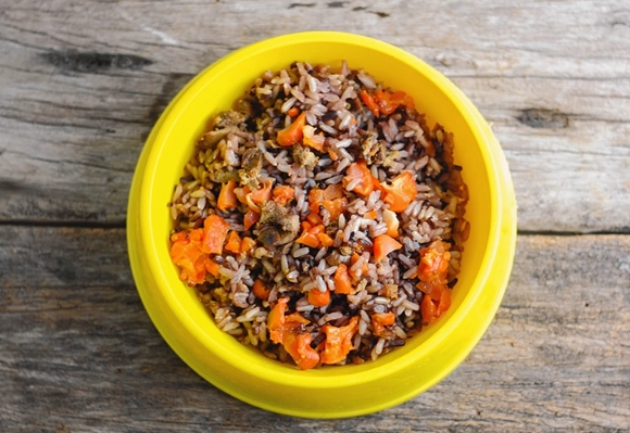 feeding rice to dogs