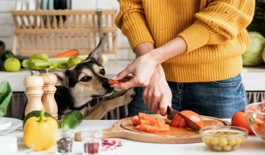 toxic foods for dogs