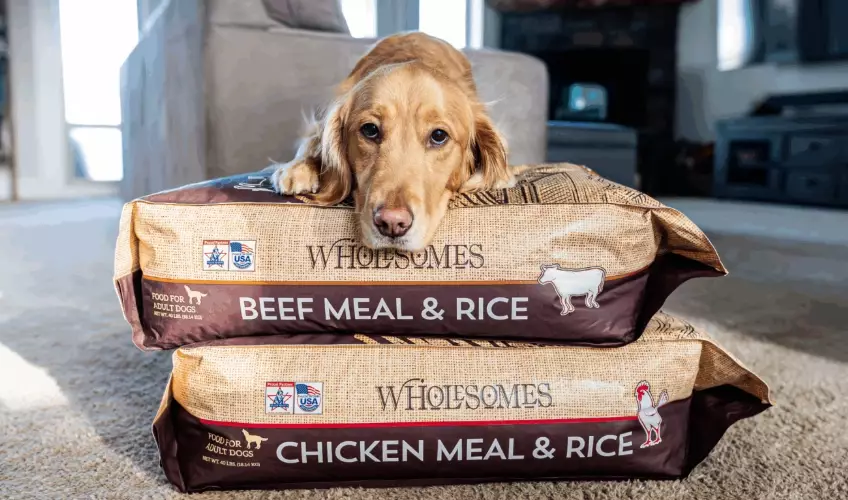 can dogs eat rice