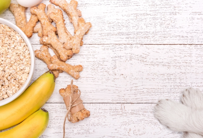 is oatmeal good for dogs