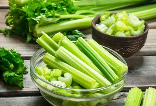 can dogs eat celery can dogs eat celery