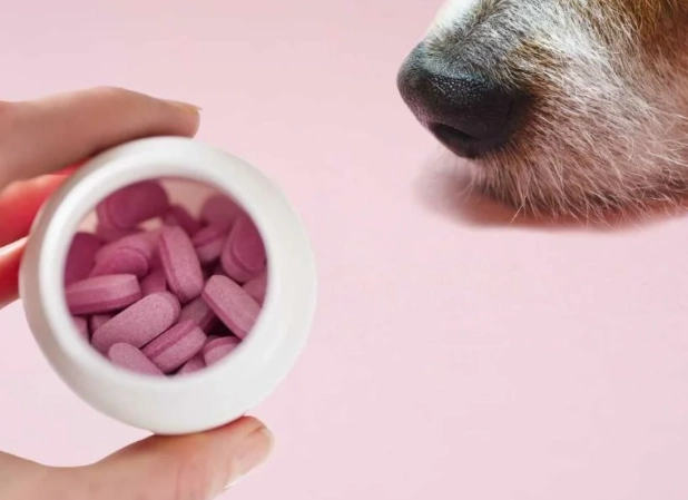 can dogs take benadryl can dogs take benadryl