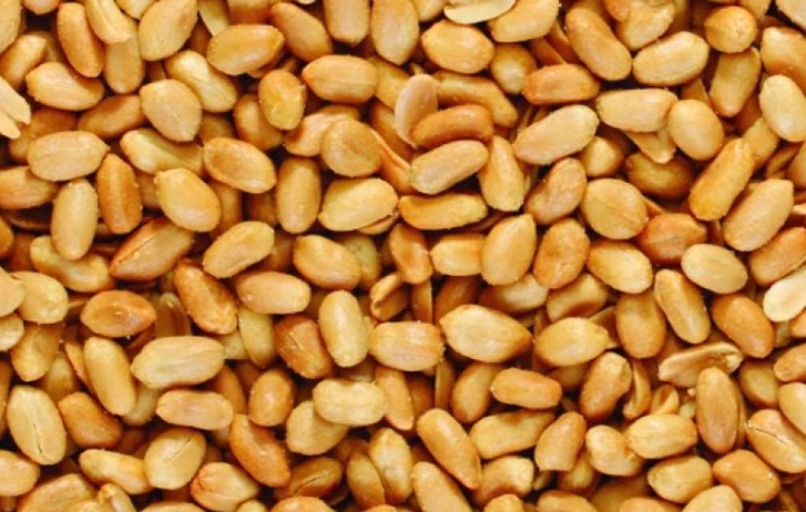 can dogs eat peanuts