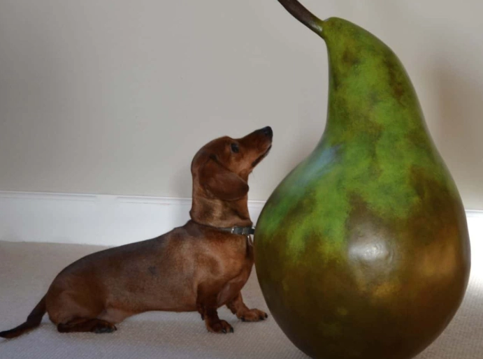 pears for dogs pears for dogs